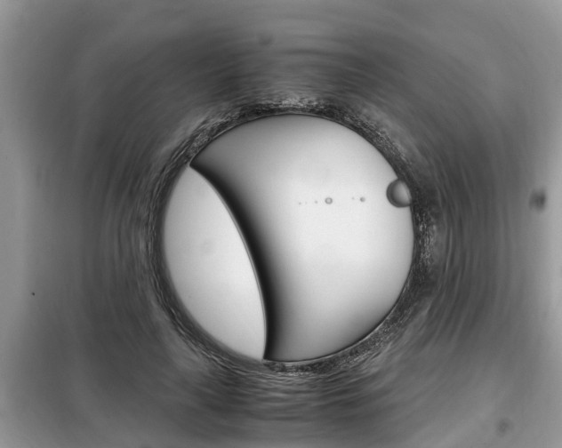 X0000099290643200805020734