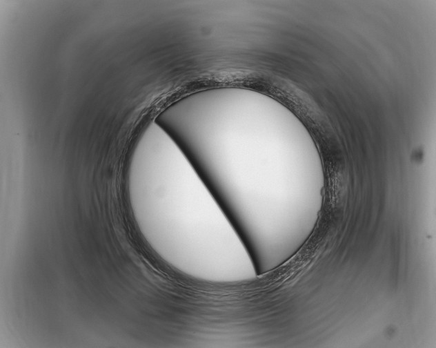 X0000099290644200805020734