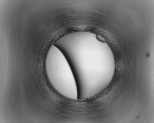 X0000099290645200805020734