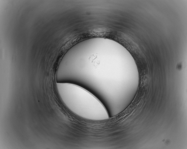 X0000099290647200805020734
