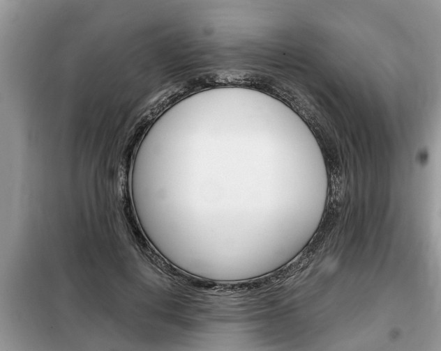 X0000099290648200805020734