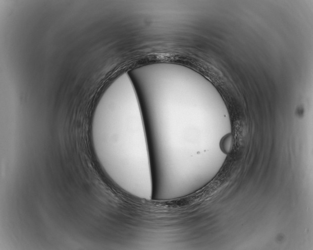 X0000099290650200805020734