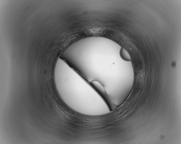 X0000099290651200805020734