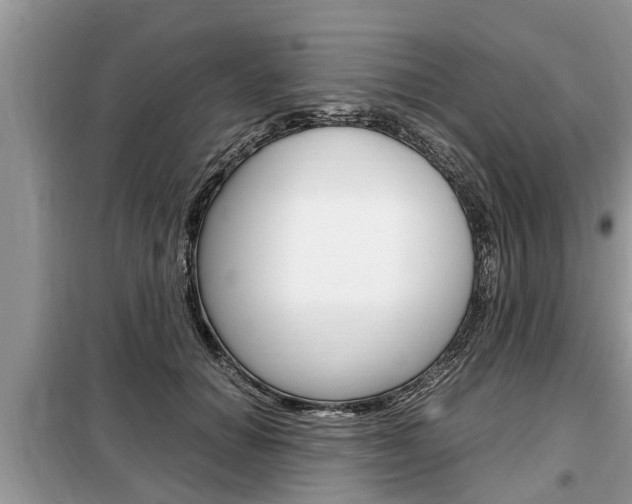 X0000099290654200805020734