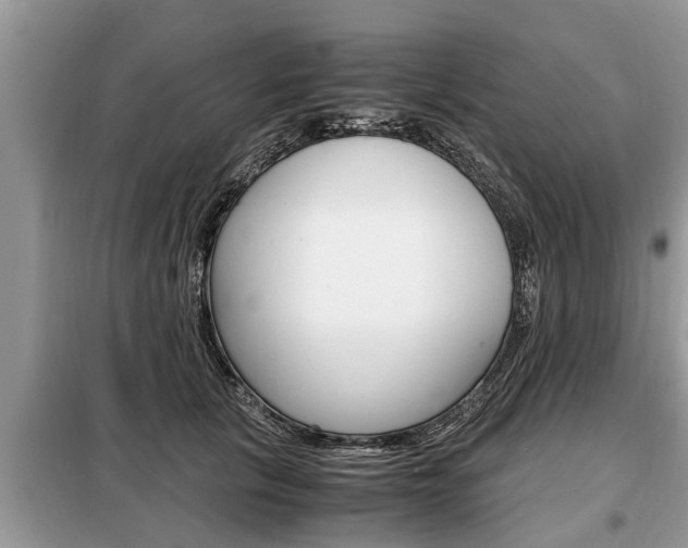 X0000099290657200805020735