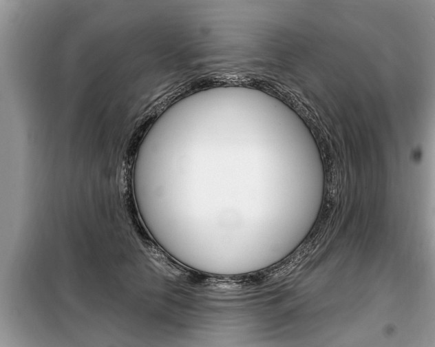 X0000099290658200805020735