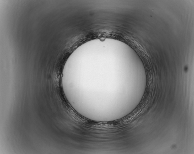 X0000099290661200805020735