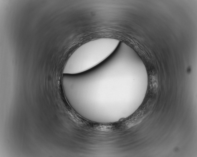 X0000099290664200805020735