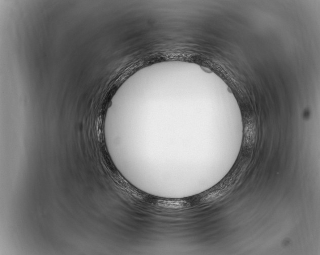 X0000099290671200805020735