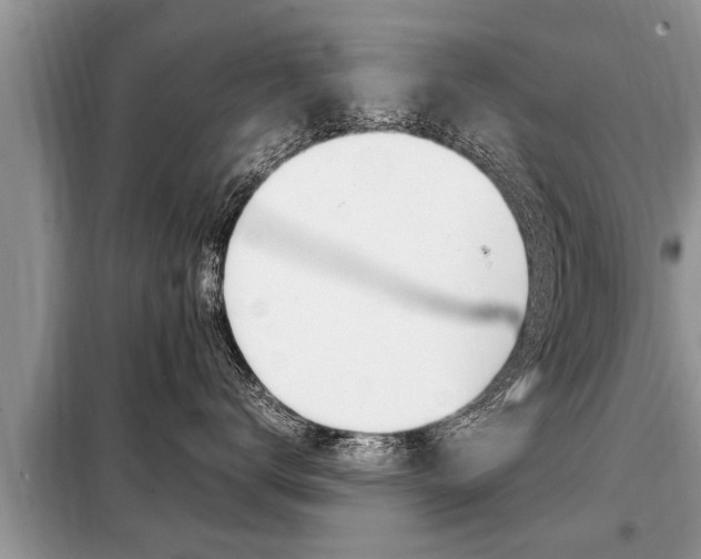 X0000099290672200805020735