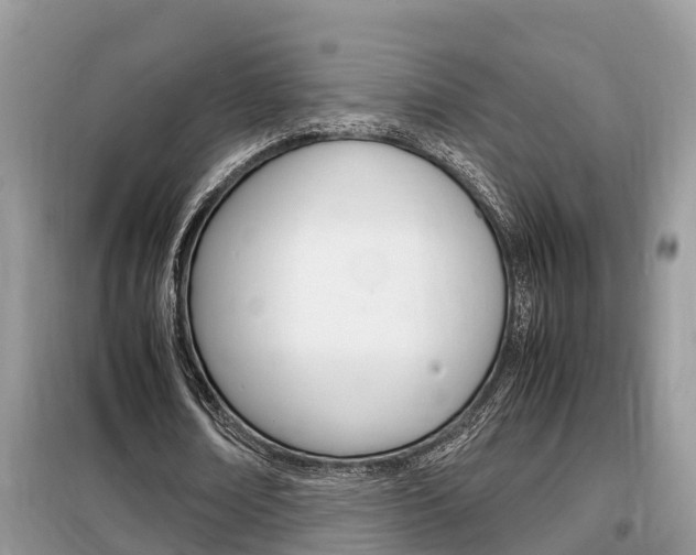 X0000099290674200805020734