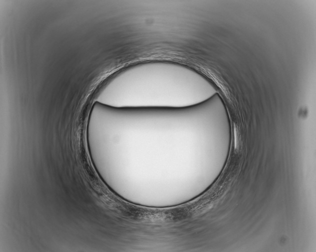 X0000099290675200805020734