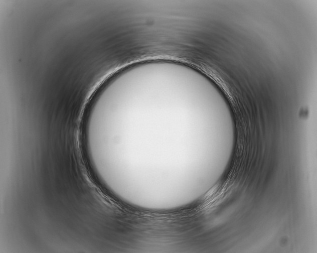 X0000099290676200805020734