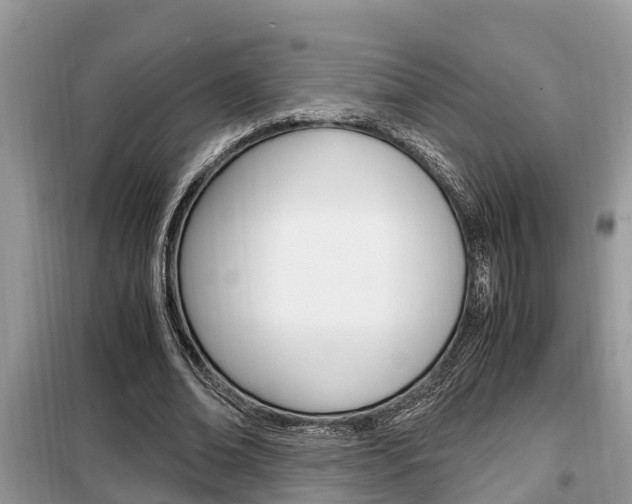 X0000099290678200805020734