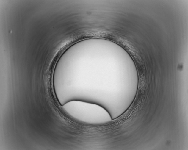 X0000099290679200805020734