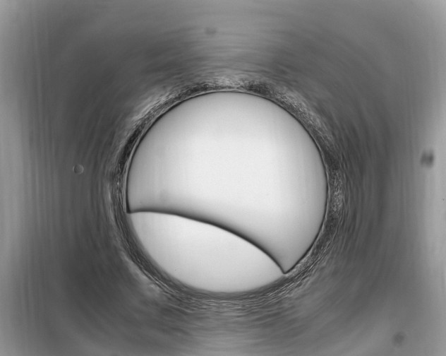 X0000099290683200805020734