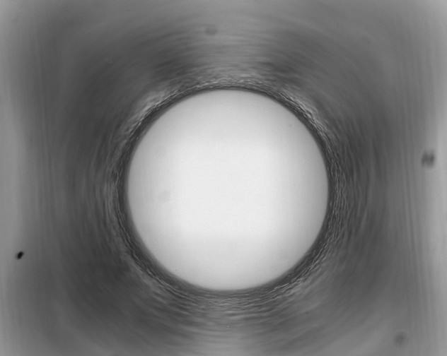 X0000099290687200805020734