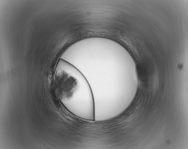 X0000099290691200805020734