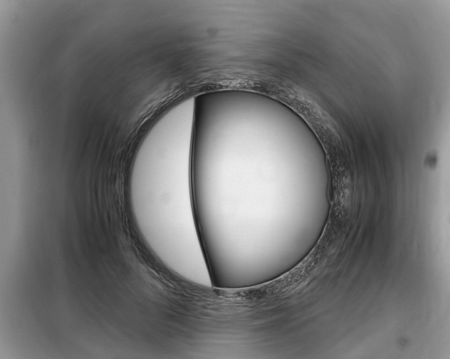 X0000099290696200805020734