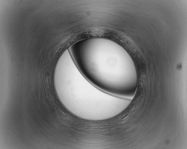 X0000099290697200805020734