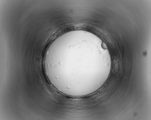 X0000099290698200805020734