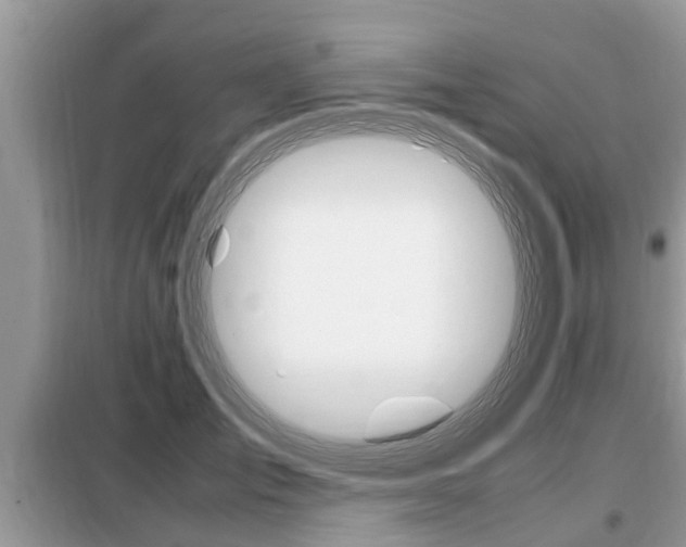 X0000099290701200805020733