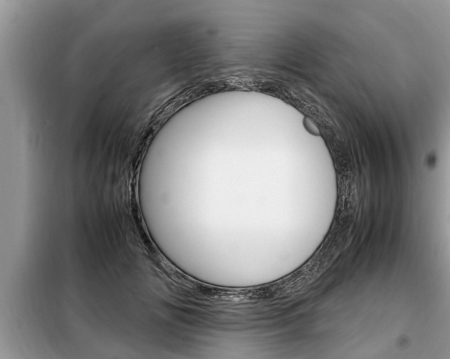 X0000099290702200805020733