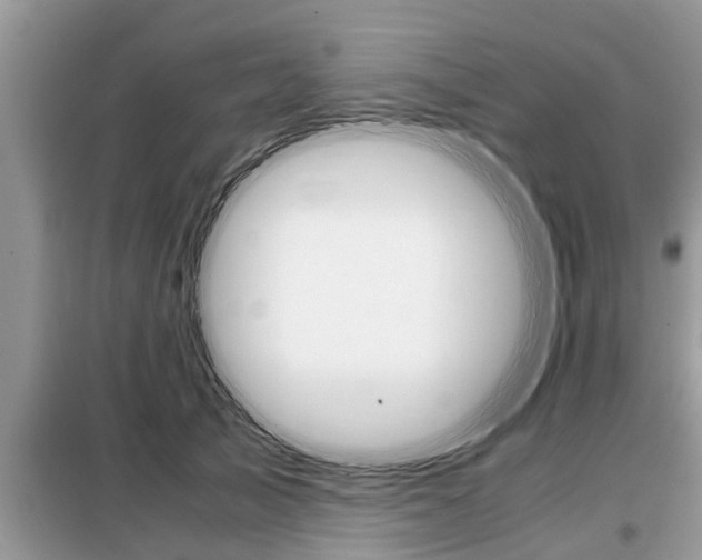 X0000099290705200805020733