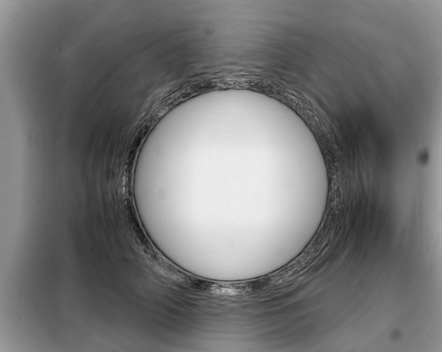 X0000099290706200805020733