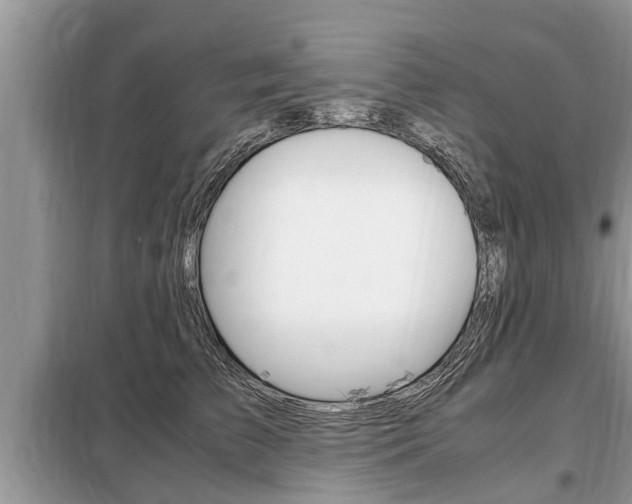 X0000099290709200805020733