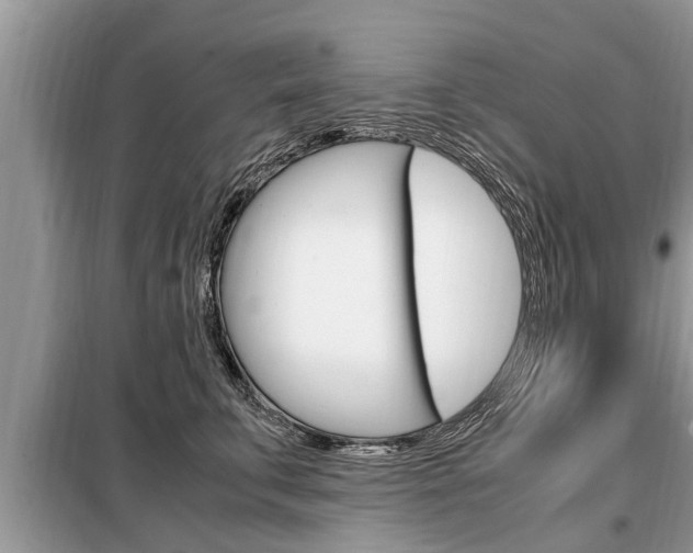 X0000099290711200805020733