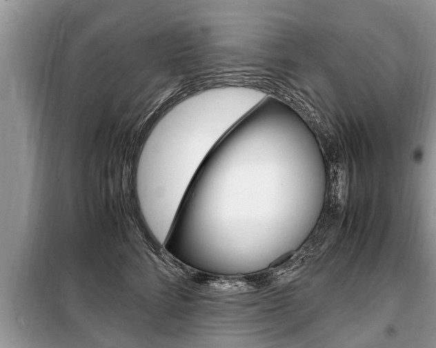 X0000099290712200805020733