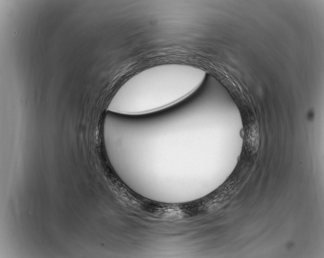 X0000099290715200805020733