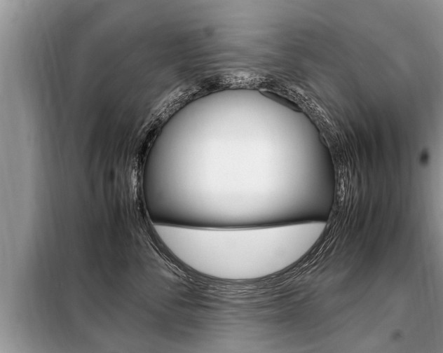 X0000099290716200805020733