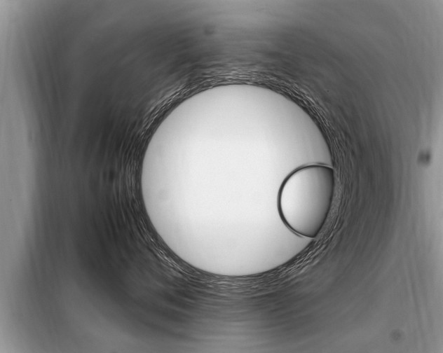 X0000099290720200805020733