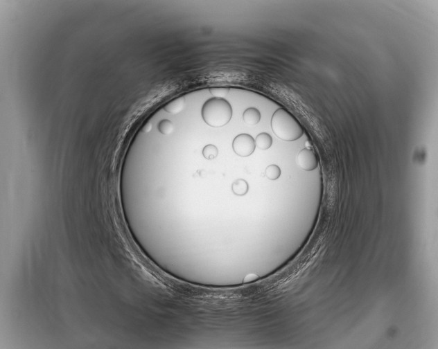 X0000099290721200805020733