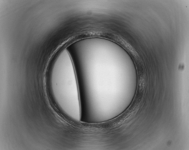 X0000099290722200805020733