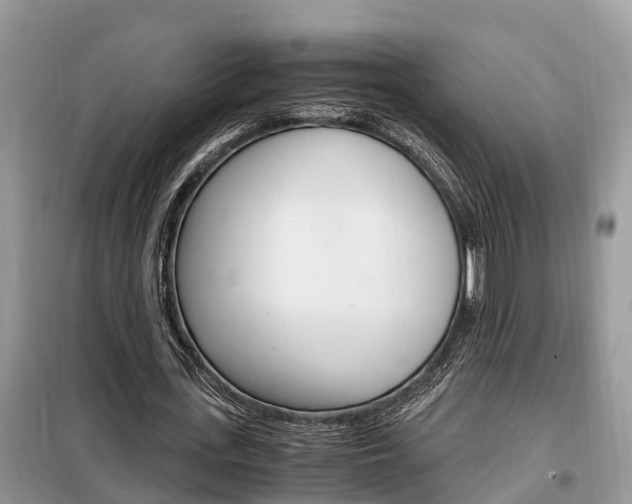 X0000099290723200805020733