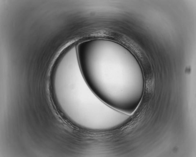 X0000099290724200805020733