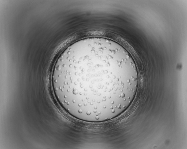 X0000099290725200805020733
