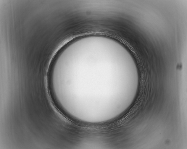 X0000099290726200805020733