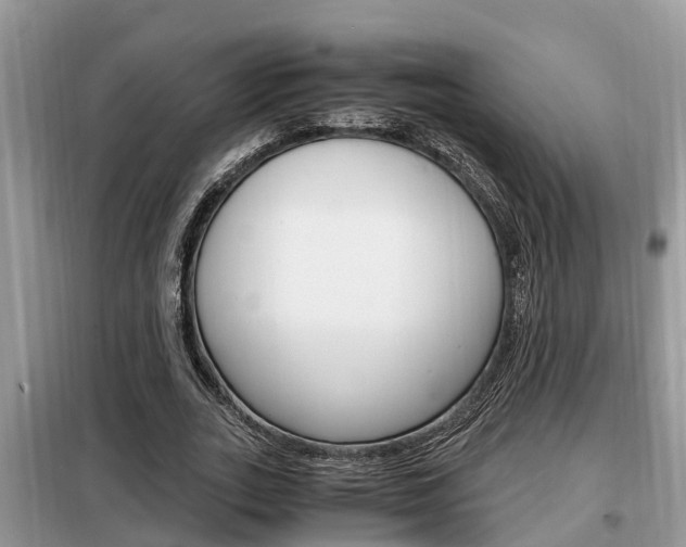 X0000099290727200805020733