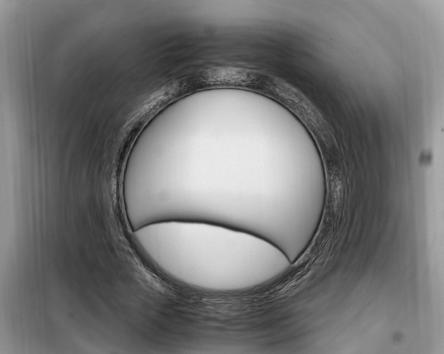 X0000099290729200805020733