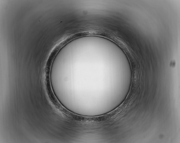 X0000099290730200805020733