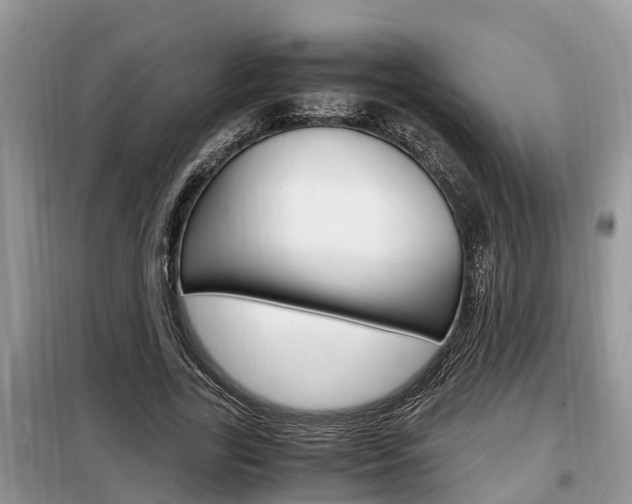 X0000099290731200805020733