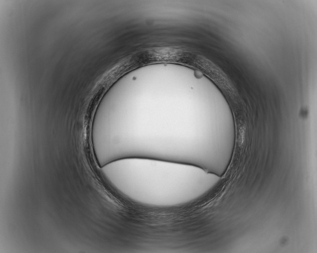 X0000099290733200805020733
