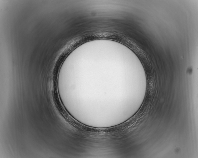 X0000099290734200805020733