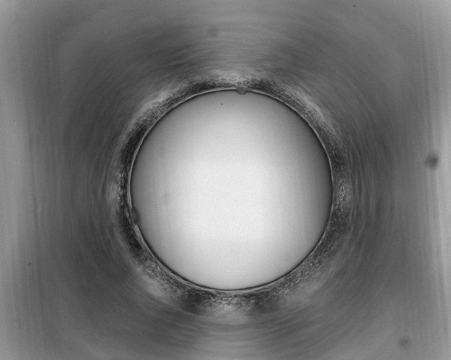 X0000099290736200805020733