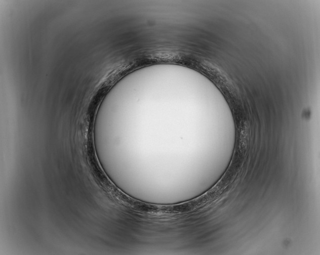 X0000099290739200805020733