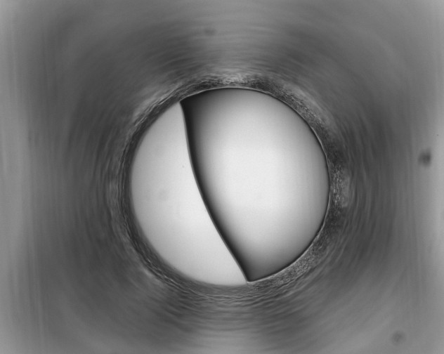X0000099290740200805020733